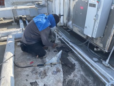 Maintenance Ca California 