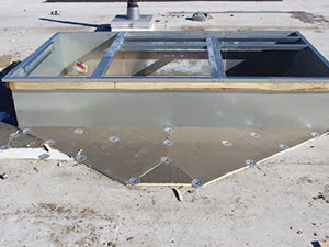Professional Roof Service