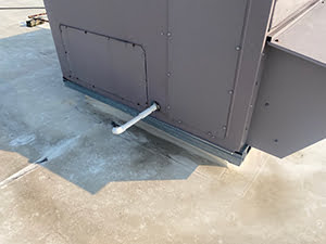 Roof Maintenance1
