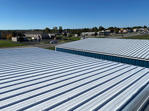 Acrylic Roof Coating - West Hollywood, CA1