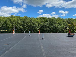 Skylight Repair - Ontario, CA2