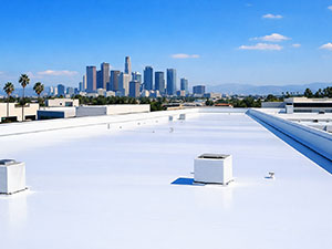 TPO Roofing Cost 1