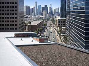 Modified Bitumen & BUR Roof Replacement Cost in Los Angeles 1