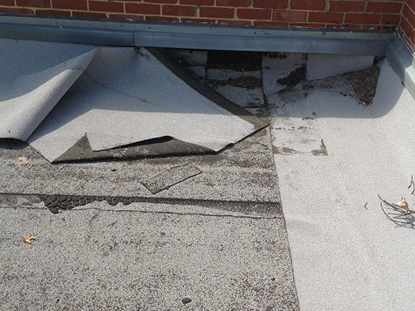 | Shark Roofing Systems Roof Inspection Van Nuys, CA 1